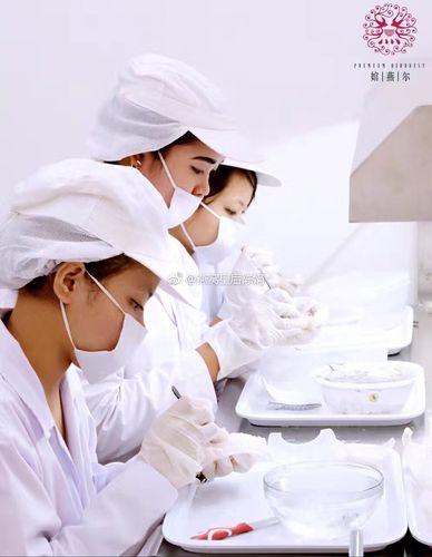 極致自然·官燕兒 武漢市場技術(shù)推廣營銷策劃案